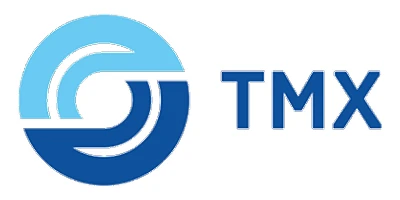 Трансмашхолдинг